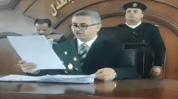 إعدام ومؤبد.. القضاء يقتص من 3 متهمين بقتل صهرهم في واقعة مثيرة بمصر